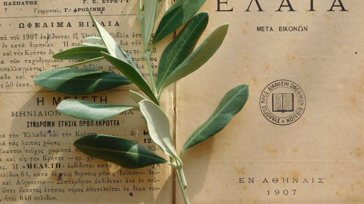 green plant on newspaper page